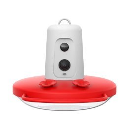 Birdfy® Smart Hummingbird Feeder Ruby with Camera and AI by Subscription