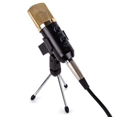 Blackmore Pro Audio BMP-21 USB Cardioid Condenser Microphone