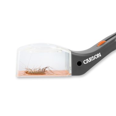 CARSON® 5x Humane Bug Catcher Catch-and-Release Magnifier Tool