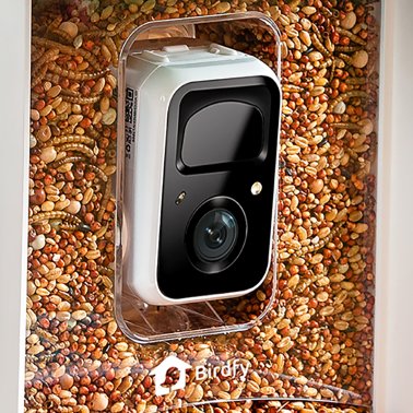 Birdfy® Feeder 1 Smart Bird Feeder with Camera, Solar Panel, and Free AI Lifetime Subscription
