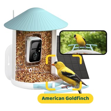 Birdfy® Feeder 1 Smart Bird Feeder with Camera, Solar Panel, and Free AI Lifetime Subscription