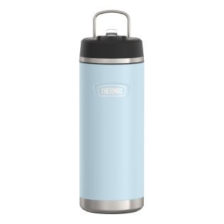 Thermos® Icon™ 32-Oz. Stainless Steel Water Bottle with Straw Lid (Glacier)