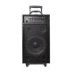 Pyle® 800-Watt Portable Bluetooth® PA Speaker System