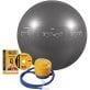 GoFit® Pro Grade Stability Guide Ball with Pump (75cm; Silver)