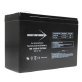 Bright Way Group® BWG 12100-S F2 Sealed Lead Acid Battery