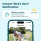 Birdfy® Feeder 1 Smart Bird Feeder with Camera, Solar Panel, and Free AI Lifetime Subscription