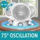 Brentwood® Kool Zone 6-In. 3-Speed Oscillating Air Circulator Desktop Fan, F-650MW